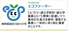 エコファーマー　静岡県認定1560137号　　『土づくり・減化学肥料・減化学農薬』という,環境に配慮しつつ農地の生産力を維持・増進する農業に一体的に取り組む農家のことです。